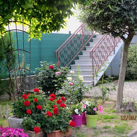5 Palme Bed and Breakfast Terzo d' Aquileia Buitenkant foto