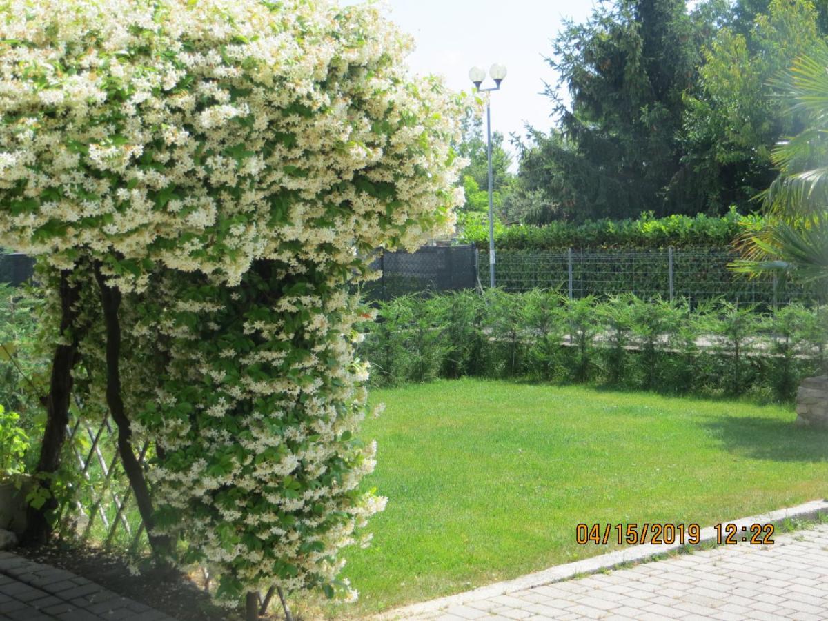 5 Palme Bed and Breakfast Terzo d' Aquileia Buitenkant foto