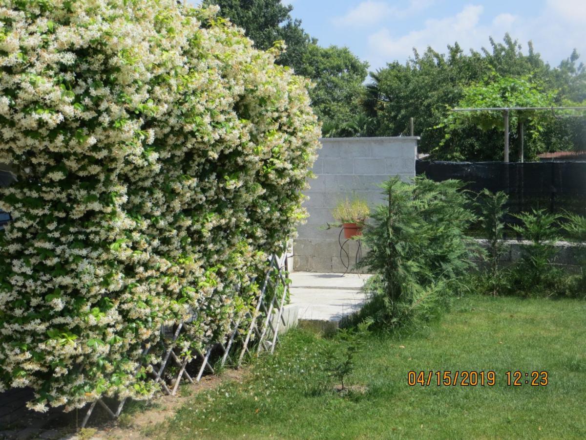 5 Palme Bed and Breakfast Terzo d' Aquileia Buitenkant foto