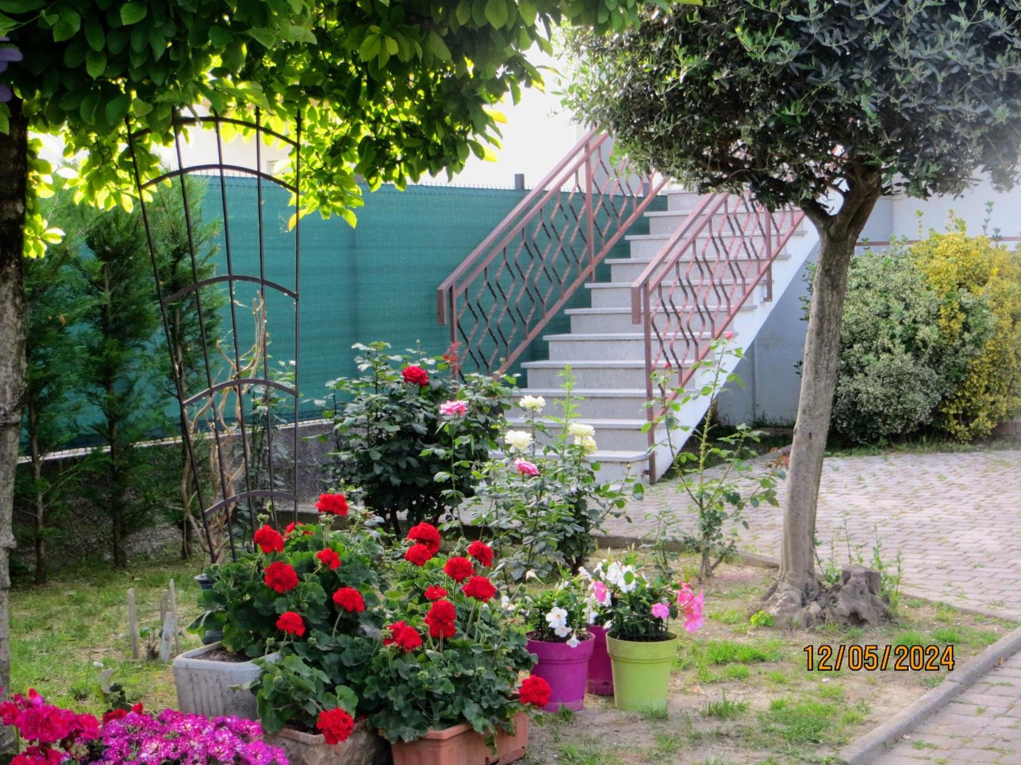 5 Palme Bed and Breakfast Terzo d' Aquileia Buitenkant foto