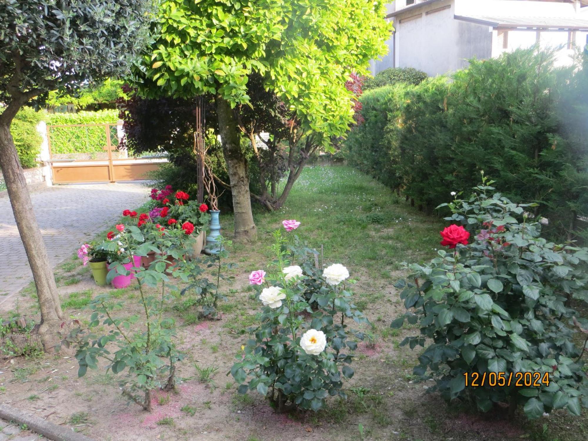 5 Palme Bed and Breakfast Terzo d' Aquileia Buitenkant foto