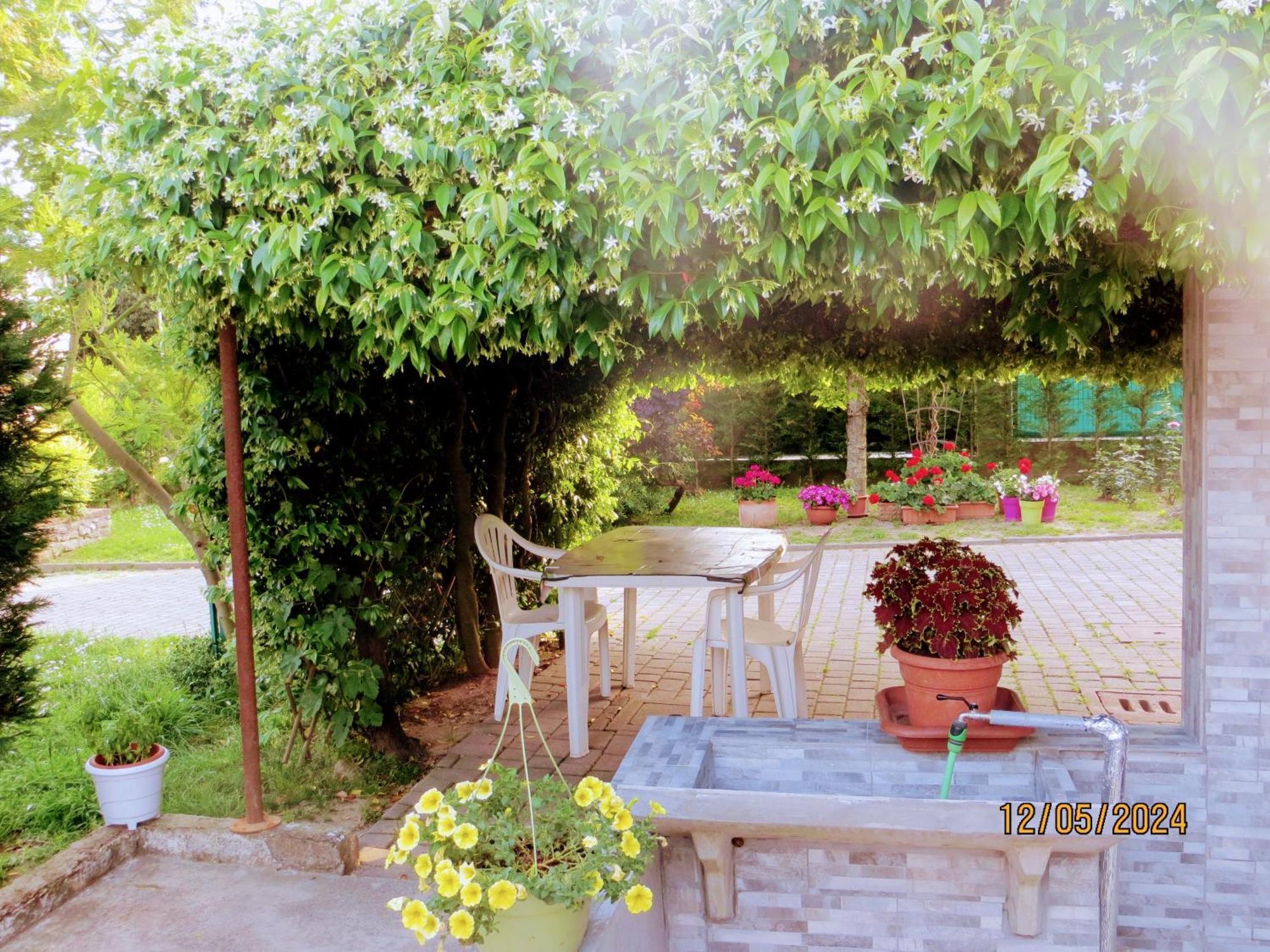 5 Palme Bed and Breakfast Terzo d' Aquileia Buitenkant foto